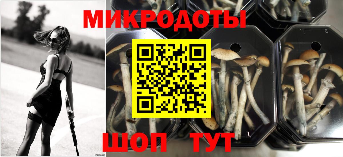 Десногорск  Галлюциногенные грибы MAGIC MUSHROOMS  Вход с VPN 